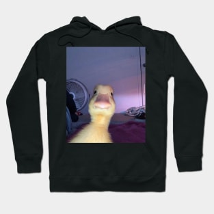 Funny duck Hoodie